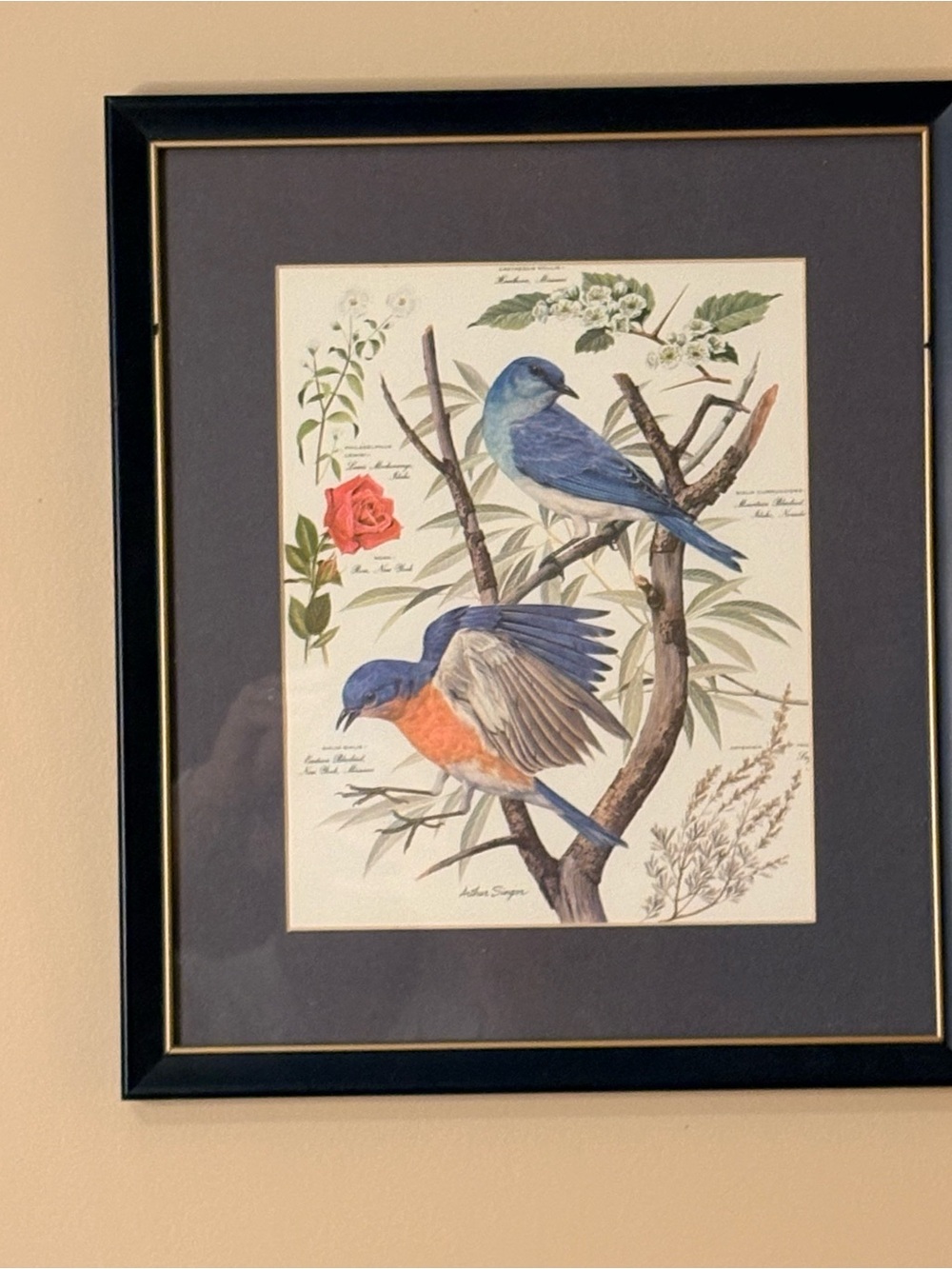 Arthur Singer - Vintage "Bluebird" Print #2 of #8 in Series